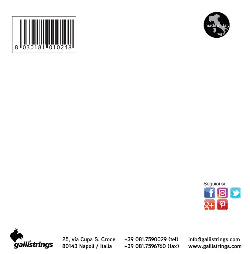 Комплект струн GALLI STRINGS FG018 2