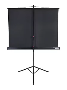 [LMV-100113] Экран на штативе Lumien Master View 4