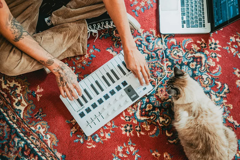 MIDI клавиатура Arturia MiniLAB 3 22