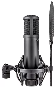 Микрофон конденсаторный sE Electronics SE 2200 4