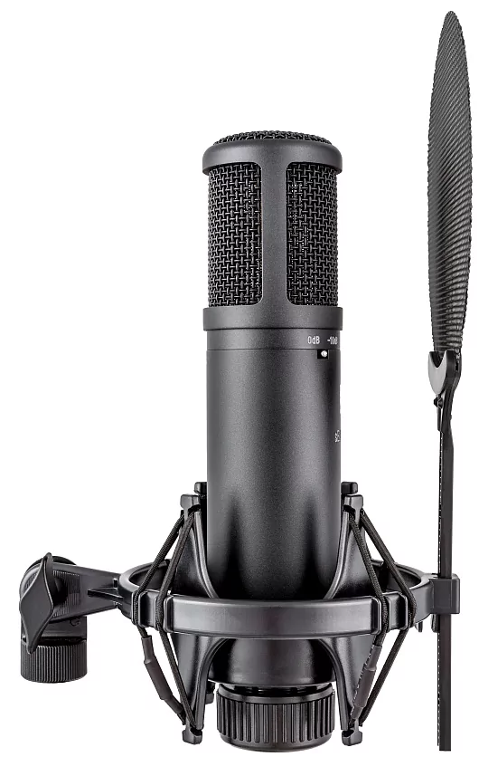 Микрофон конденсаторный sE Electronics SE 2200 4