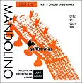 Комплект струн GALLI STRINGS V039