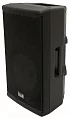 Активная акустическая система ITALIAN STAGE X212AUB