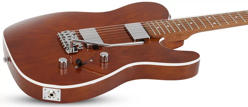 Электрогитара SCHECTER PT VAN NUYS G.NAT ASH GNA 10