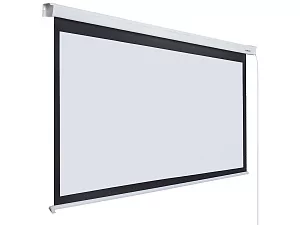 [LEC-100108] Экран с электроприводом Lumien Eco Control 2