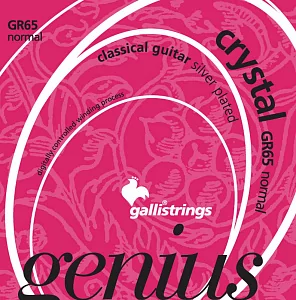 Комплект струн GALLI STRINGS GR65