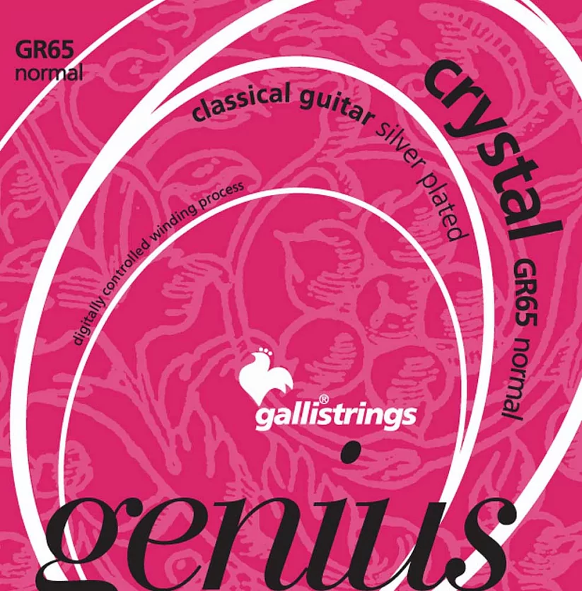 Комплект струн GALLI STRINGS GR65