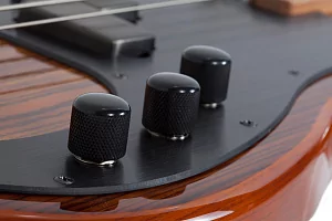 Бас-гитара SCHECTER P-4 EXOTIC FVSB 6