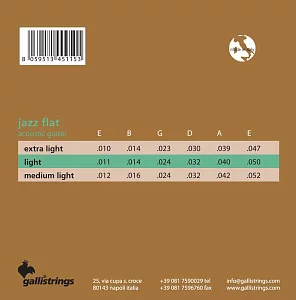 Комплект струн GALLI STRINGS AJF1150 2