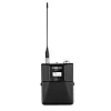 Цифровой бодипак QLXD1 SHURE QLXD1=-G51