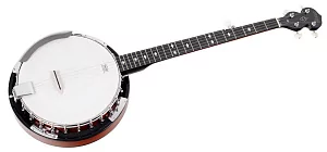 Банджо STAGG BJW-24 DL 2