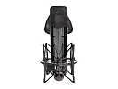 Студийный конденсаторный микрофон Icon Space 87 13