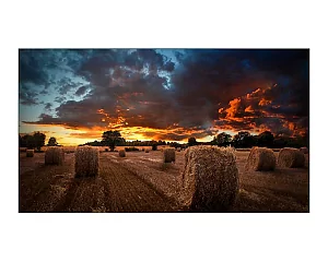 Профессиональный дисплей для видеостен Samsung VM55B-U 2