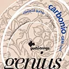 Комплект струн GALLI STRINGS GR90