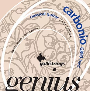 Комплект струн GALLI STRINGS GR90