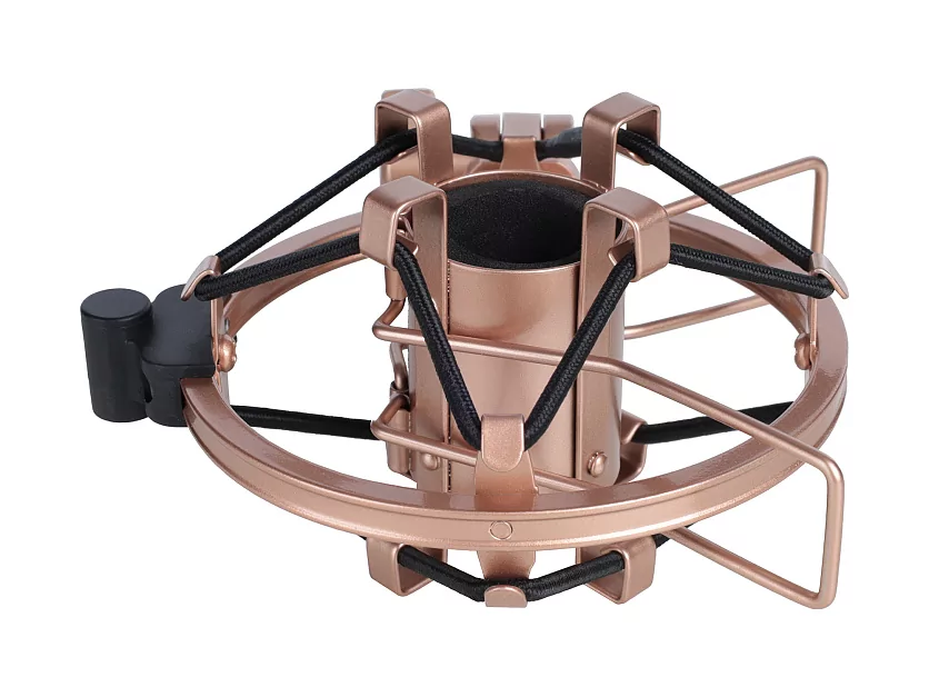 Профессиональный студийный конденсаторный микрофон Icon Aurora 23