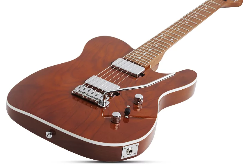 Электрогитара SCHECTER PT VAN NUYS G.NAT ASH GNA 9