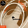 Комплект струн GALLI STRINGS AGP1047