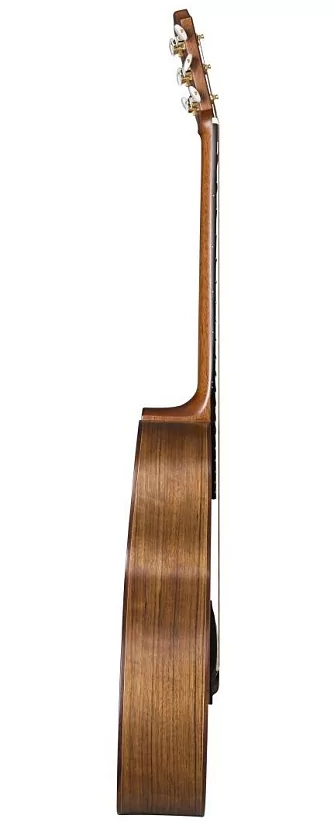 Акустическая гитара BATON ROUGE AR31S/JC-AM 3