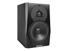 Акустическая система (студийный монитор) Dynaudio LYD 5 B/B 9