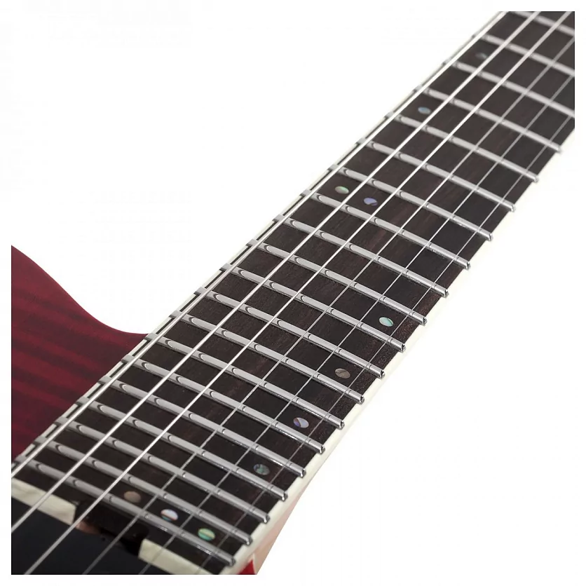 Электрогитара SCHECTER PT SLS ELITE BLOODBURST BB 5