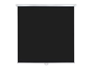 [LEP-100108] Настенный экран Lumien Eco Picture 4