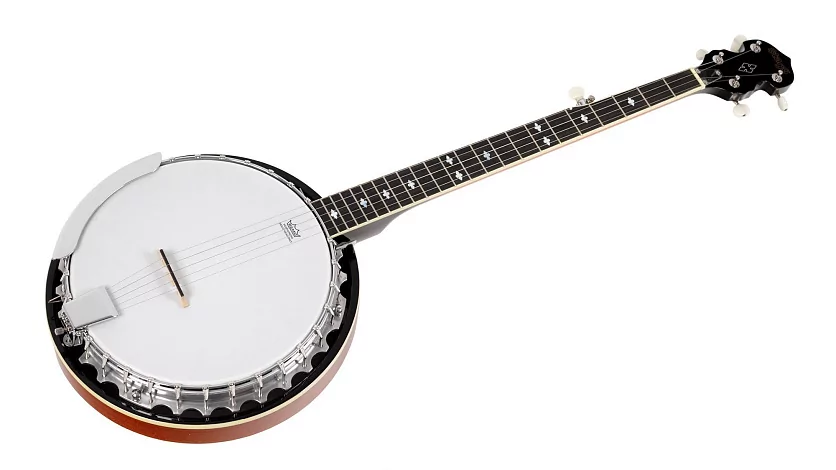 Банджо STAGG BJM-30 DL 2
