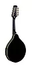 Электроакустическая мандолина STAGG M50 E BLK 2