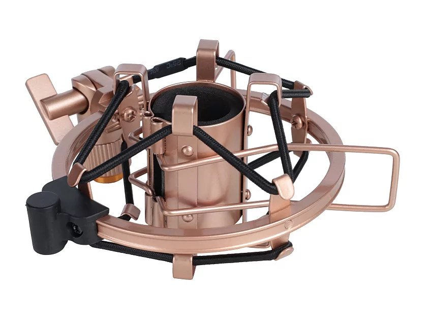 Профессиональный студийный конденсаторный микрофон Icon Aurora 22