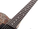 Электрогитара SCHECTER PT STANDARD BLACK FADE BURST BURL BFBB 8