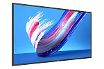 Профессиональный дисплей Philips 50BDL3650Q/00