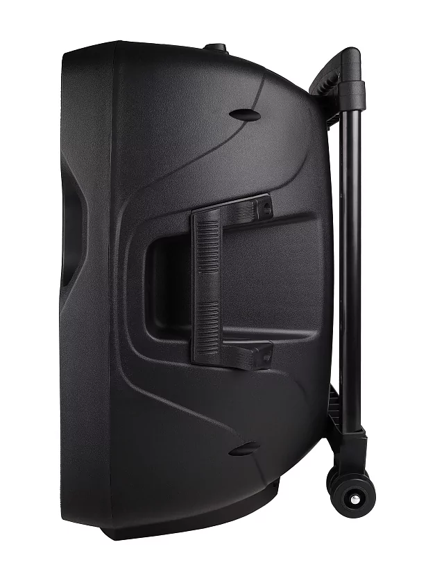 Акустическая система Gemini AS-12TOGO 25