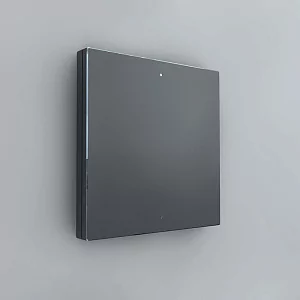 Сценарный выключатель 2 iRidi FS-BT2