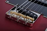 Электрогитара SCHECTER PT SPECIAL SCAR 10