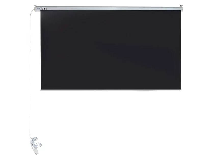 [LEC-100110] Экран с электроприводом Lumien Eco Control 4