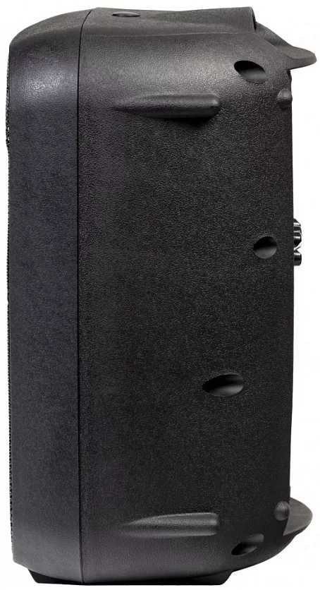 Активная акустическая система ITALIAN STAGE SPX10A 4