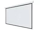 [LEP-100118] Настенный экран Lumien Eco Picture 3