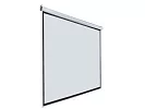 [LEP-100109] Настенный экран Lumien Eco Picture 2