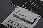 Электрогитара SCHECTER PT EX DORIAN GRAY DG 12