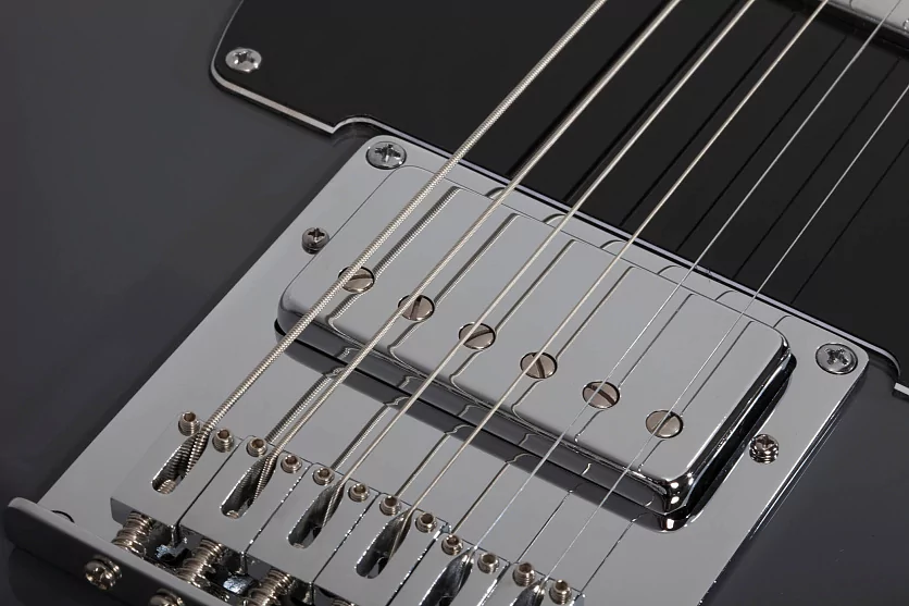 Электрогитара SCHECTER PT EX DORIAN GRAY DG 12