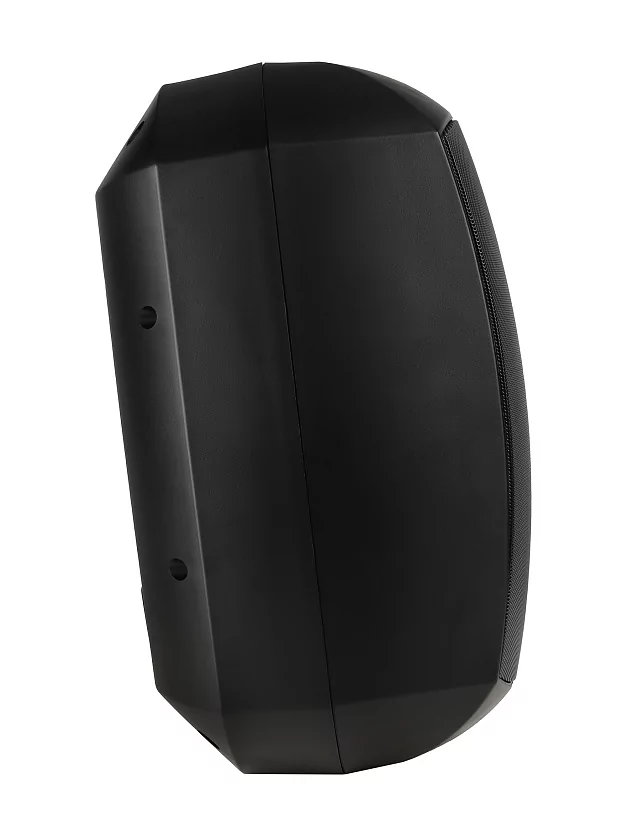 Акустическая система Intrend ITSPK-MSK8-B 8