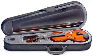 Скрипка STAGG VN-3/4 2