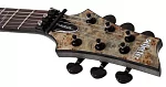 Электрогитара SCHECTER OMEN ELITE-6 FR CHAR 12