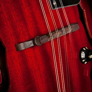 Электроакустическая мандолина STAGG M50 E 2