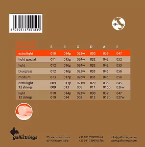Комплект струн GALLI STRINGS AGP1047 2