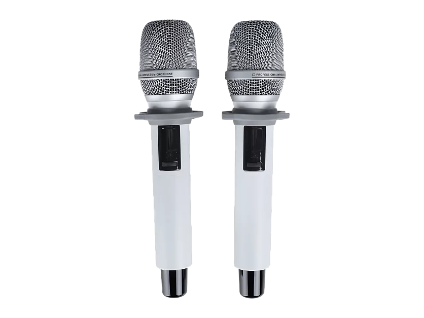 Микрофонная радиосистема Axelvox DX800SW 11