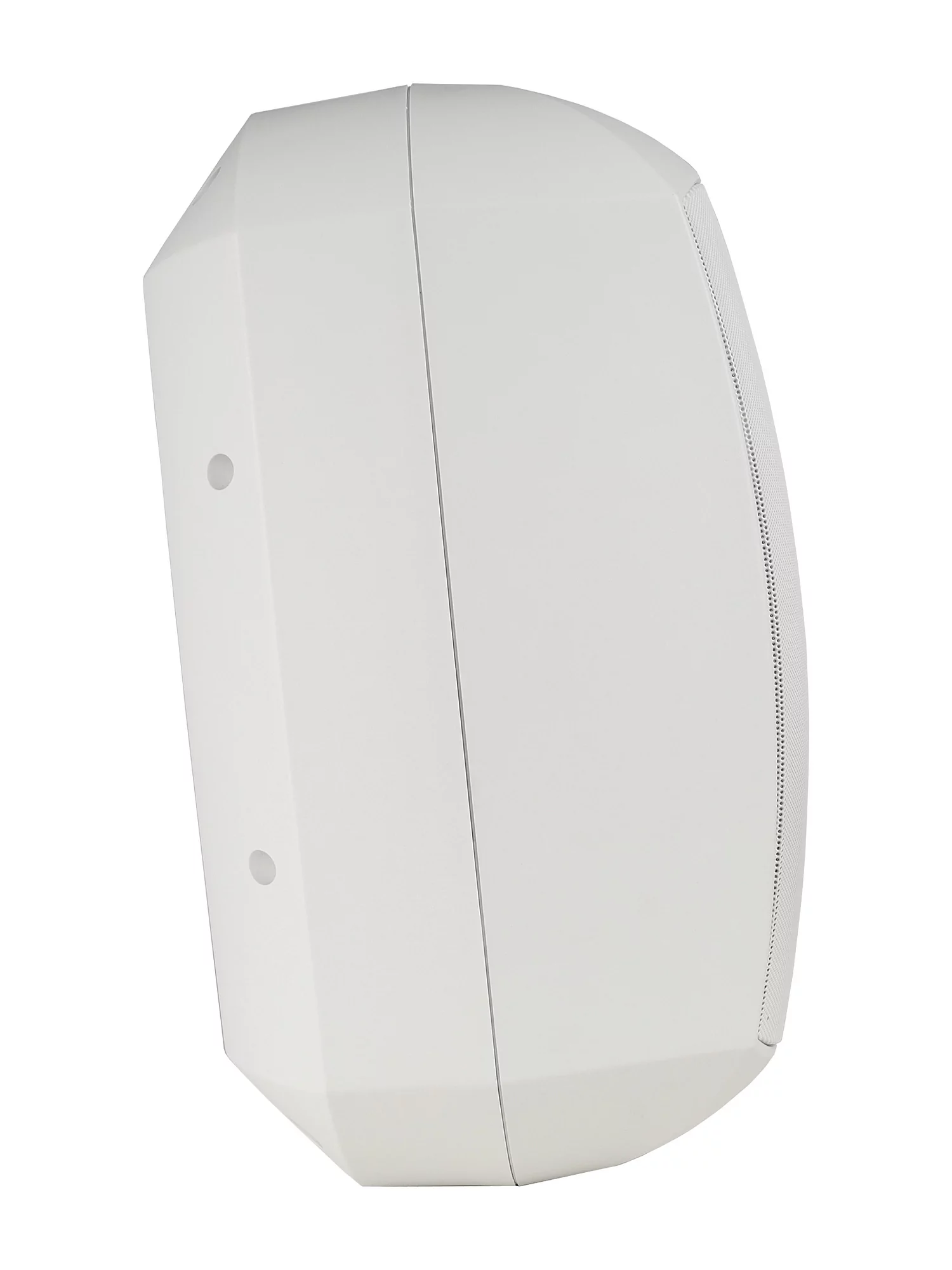 Акустическая система Intrend ITSPK-MSK8-W 8