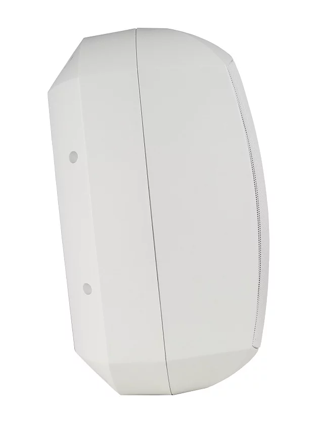 Акустическая система Intrend ITSPK-MSK8-W 8