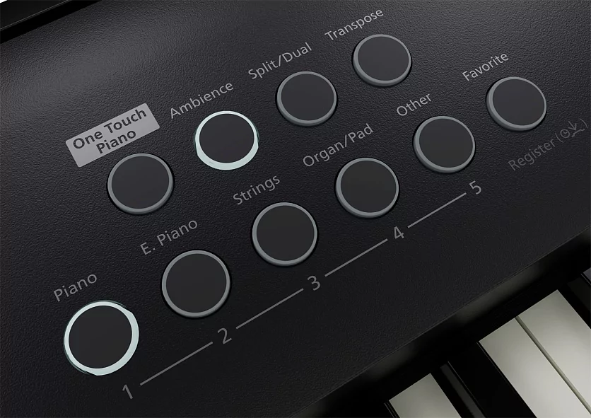 Портативное цифровое пианино ROLAND FP-E50 9