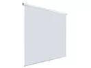 [LEP-100101] Настенный экран Lumien Eco Picture 2